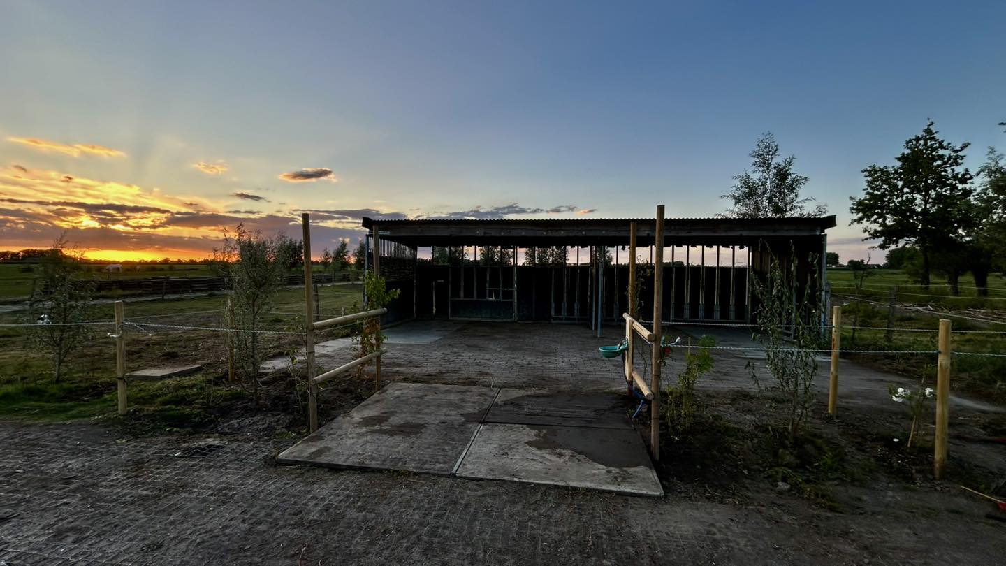 Paddock Paradise bij schemering