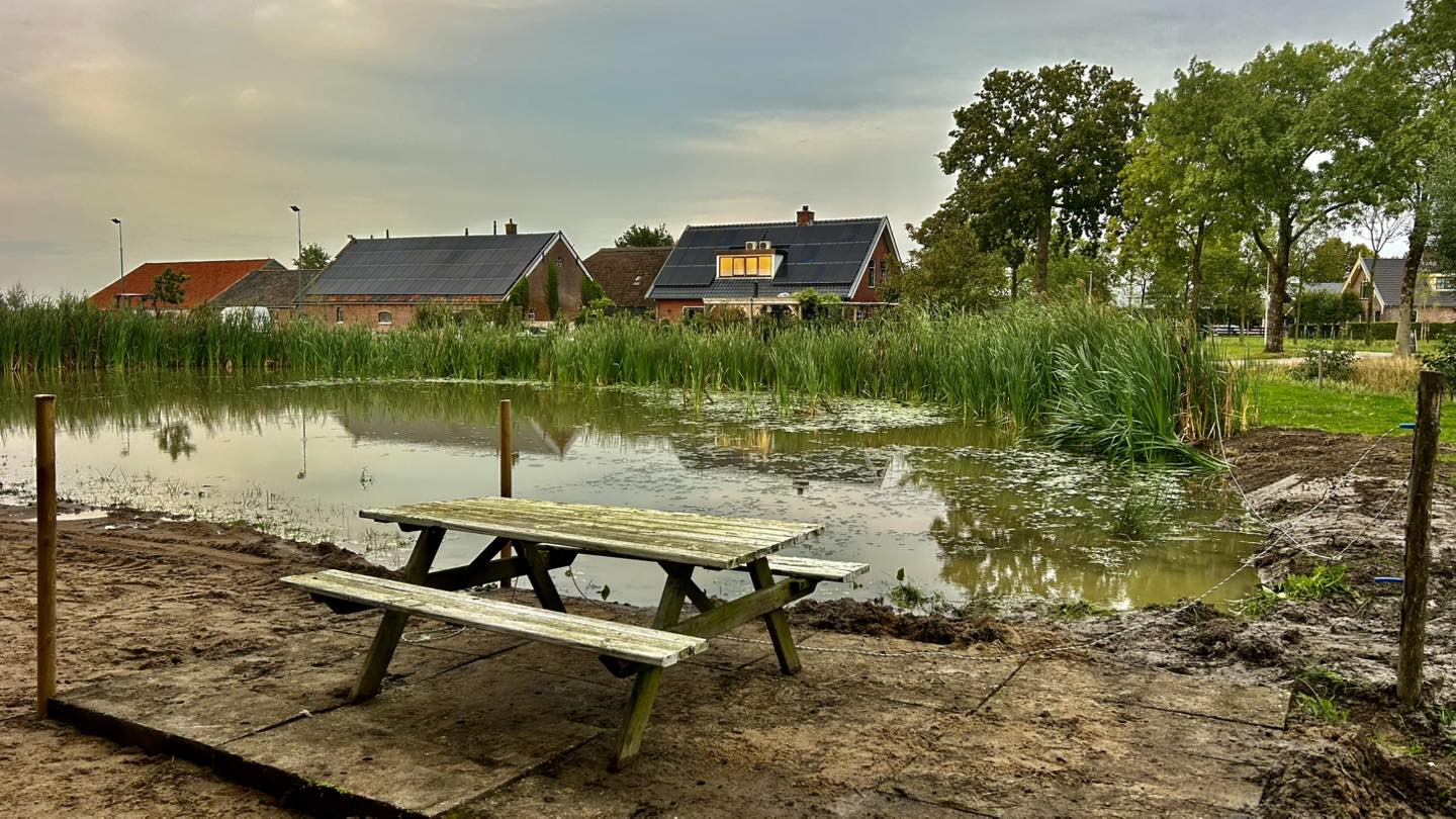 Vijver met picknicktafel bij Paddock Paradise